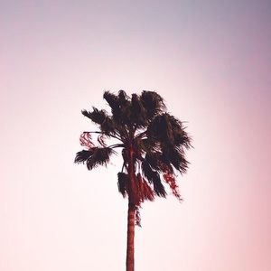 Meet your Posher, Cora